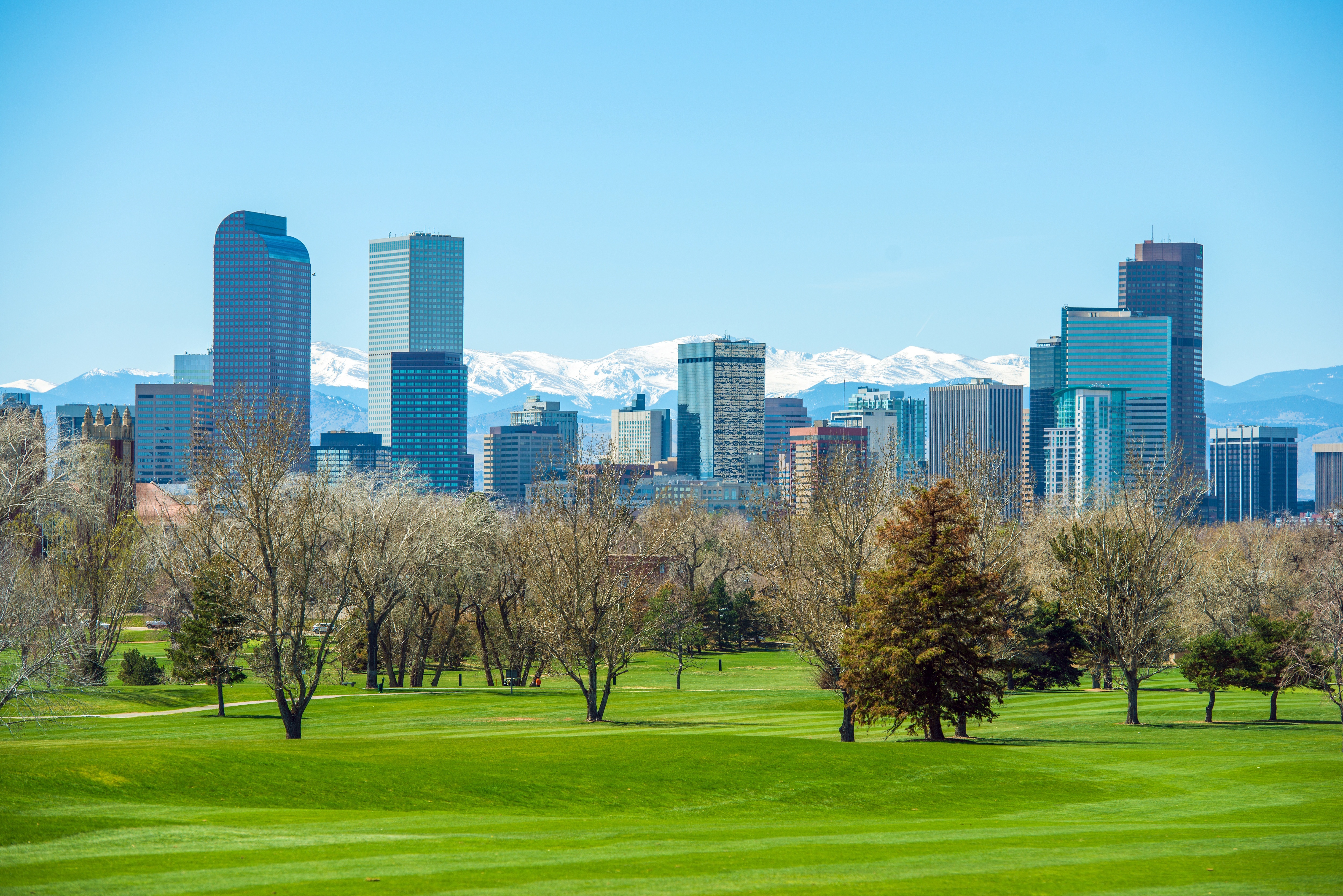 Denver Skyline Denver Skyline